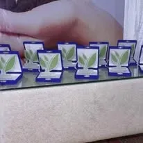 Green Seekers Activity